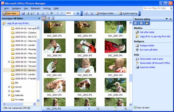 Microsoft Office Picture Manager