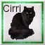 Cirridutt